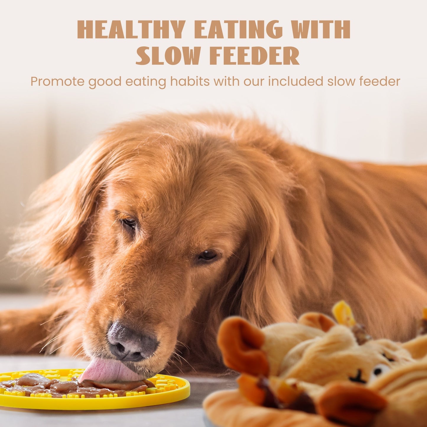 Nocciola 6-in-1 Bear Squeaky Enrichment Dog Toys