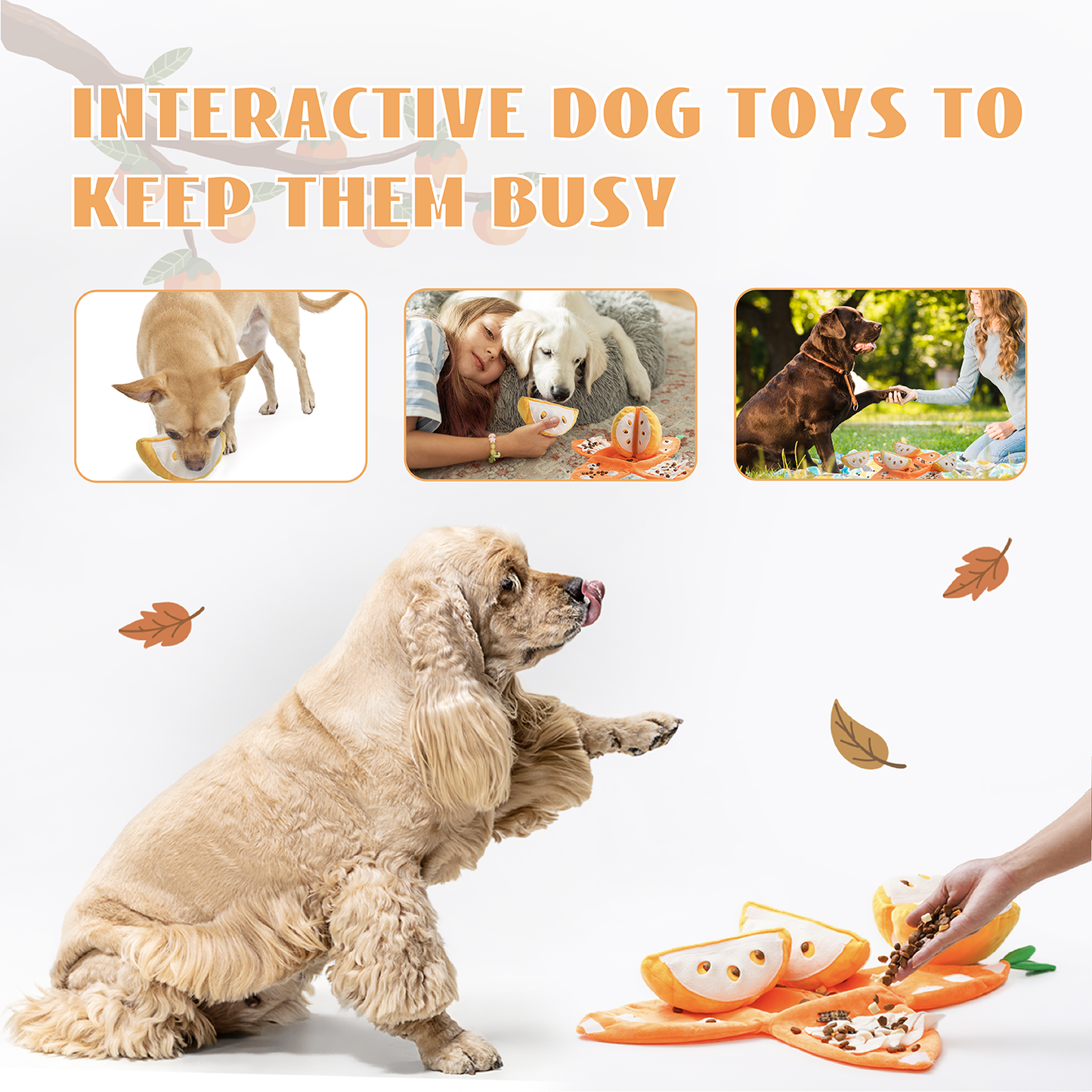 Nocciola Orange Hide and Seek Plush Dog Toys