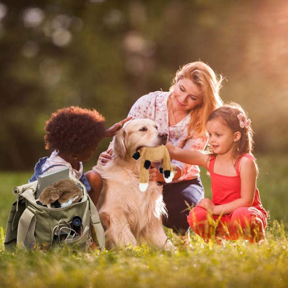 Nocciola 5 PCS Crinkle Plush Dog Toys