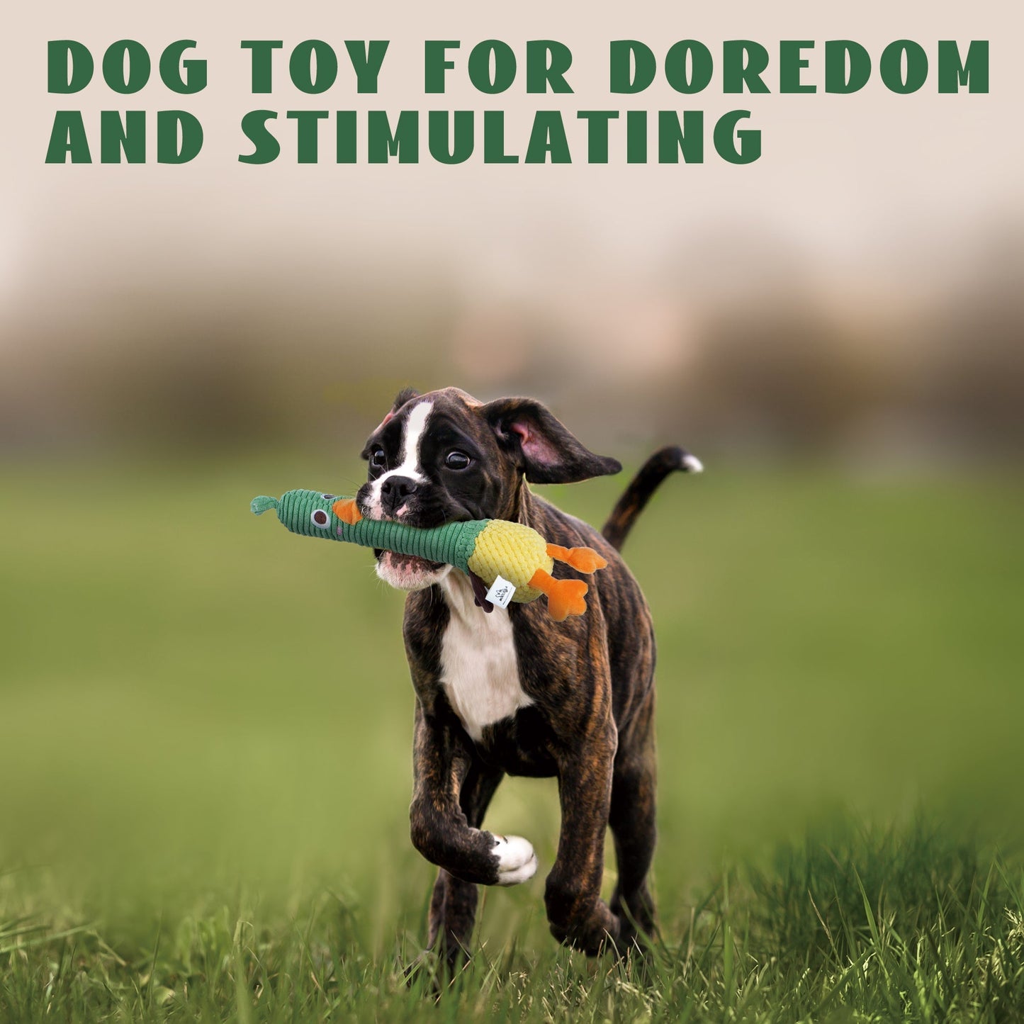 Nocciola 2 in 1 Duck Dog Toy with a Large Rubber Squeaker