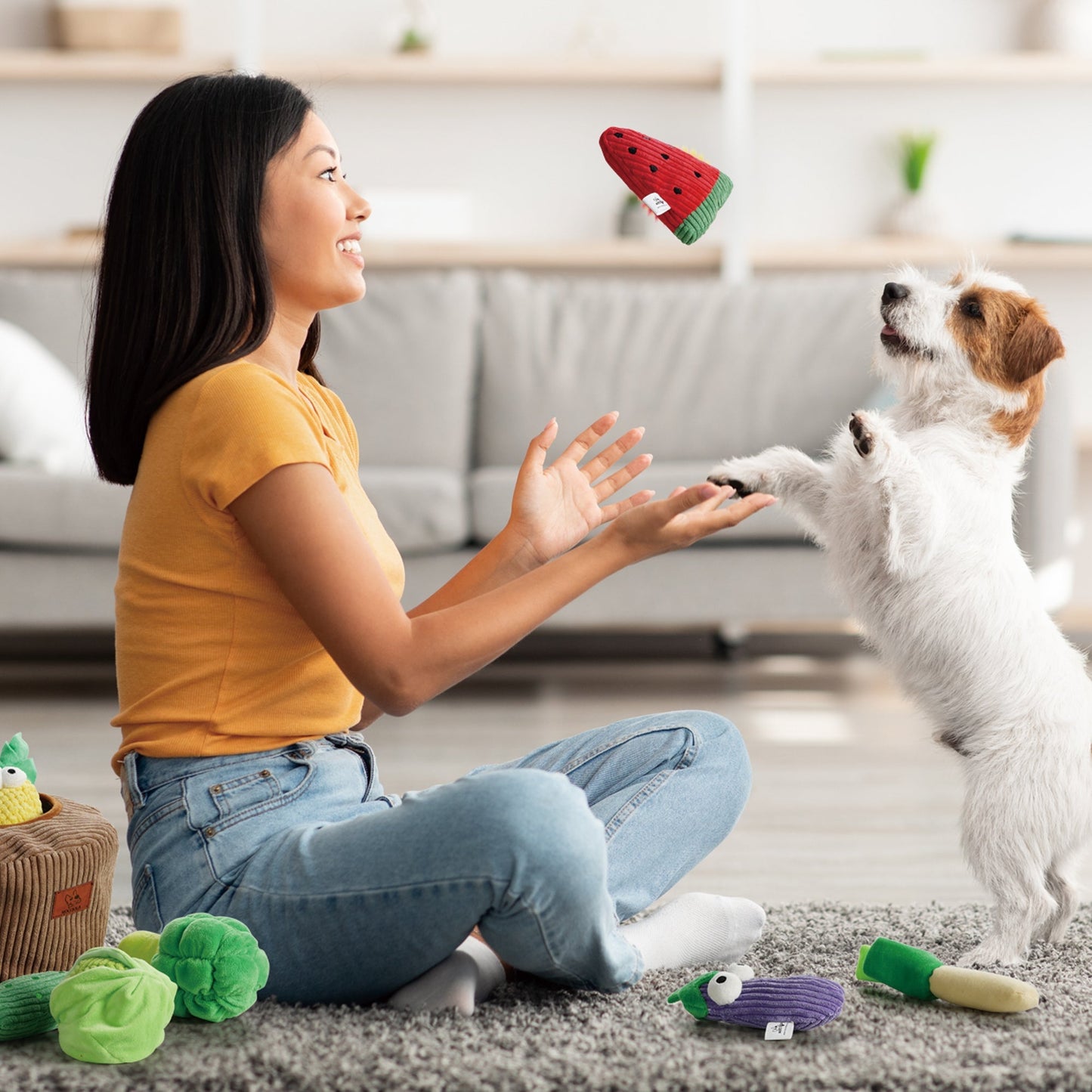 15 Pack Grocery Bag Dog Squeaky Toys