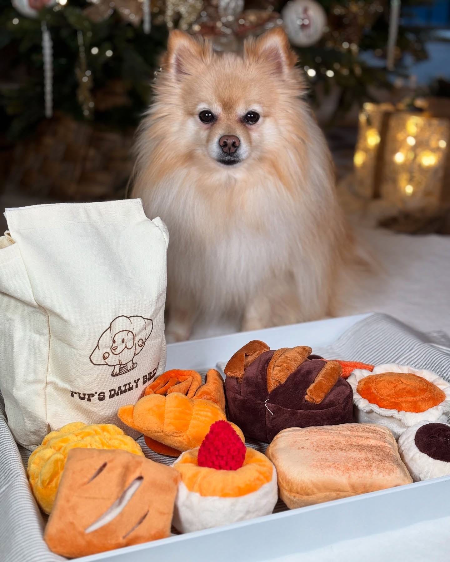 Nocciola 10 Pack Bread Dog Toys with a Bread Bag
