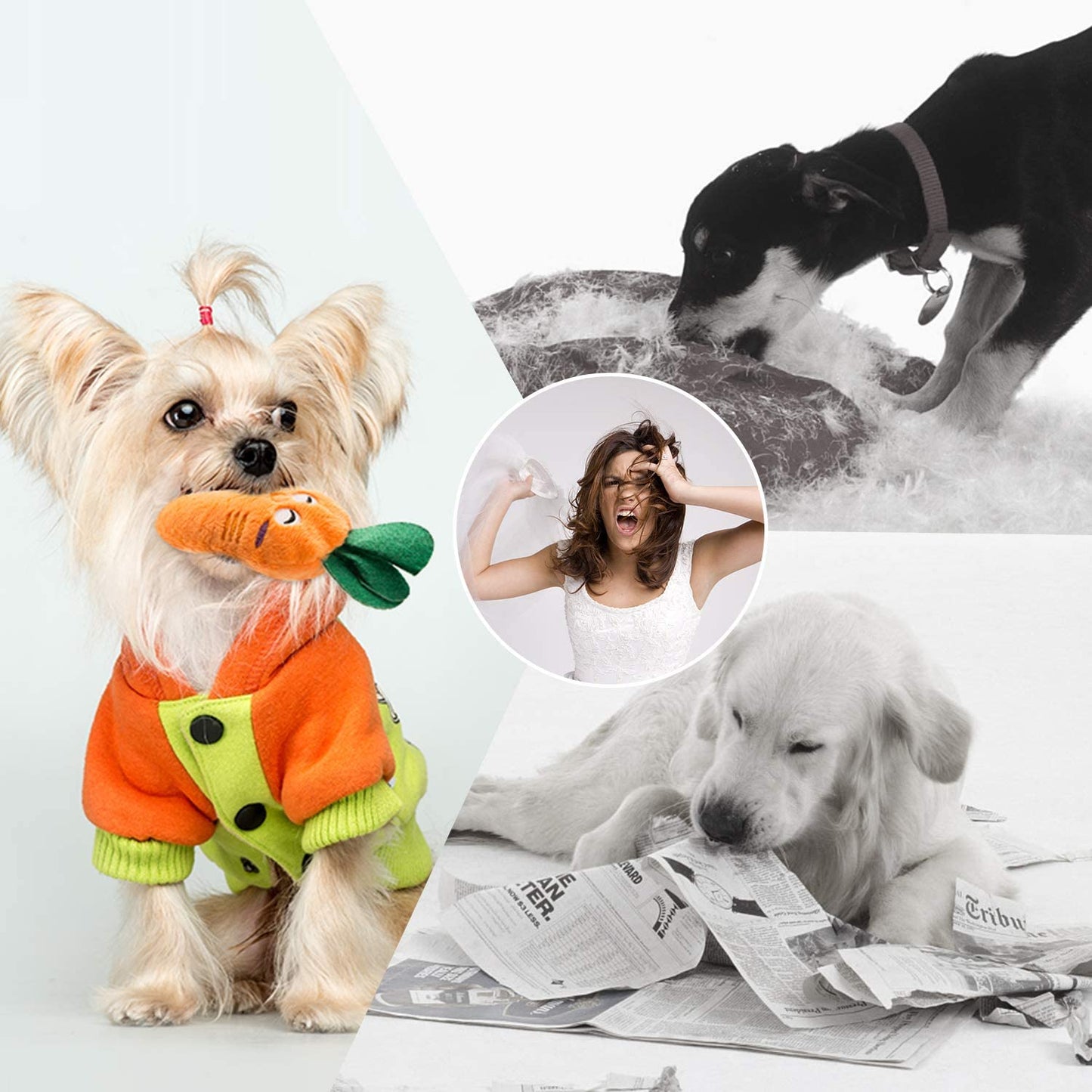 Nocciola 12 Pack Dog Squeaky Toys with a Bag