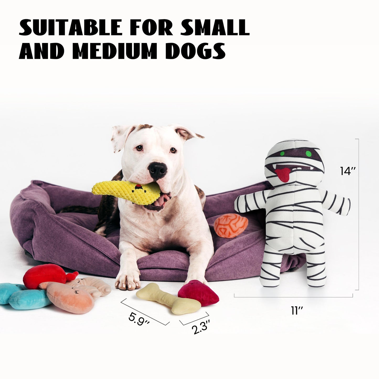 Nocciola Halloween Zombie Mummy Dog Toys with Organs