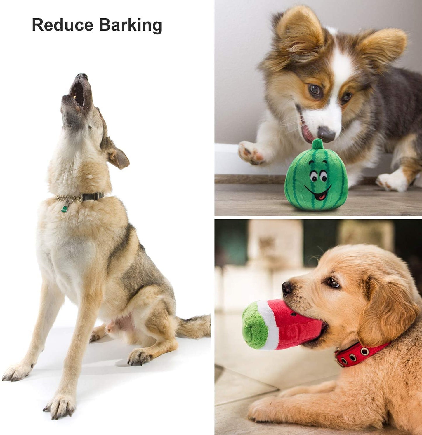 Nocciola 12 Pack Dog Squeaky Toys with a Bag