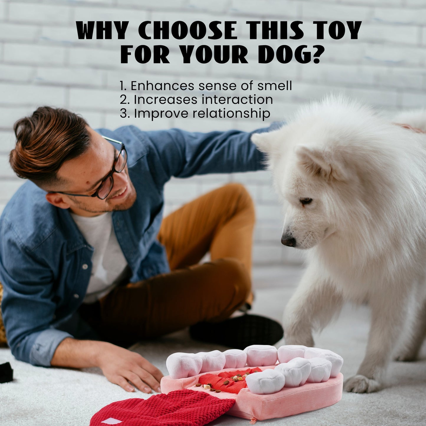 Nocciola Teeth Enrichment Puzzle Dog Toys