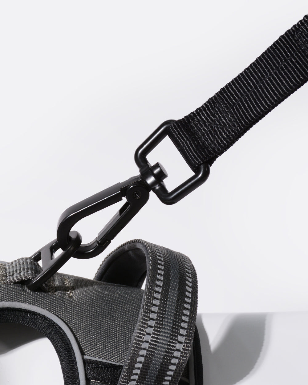 Heavy Duty Bungee Dog Leash - Classic Black