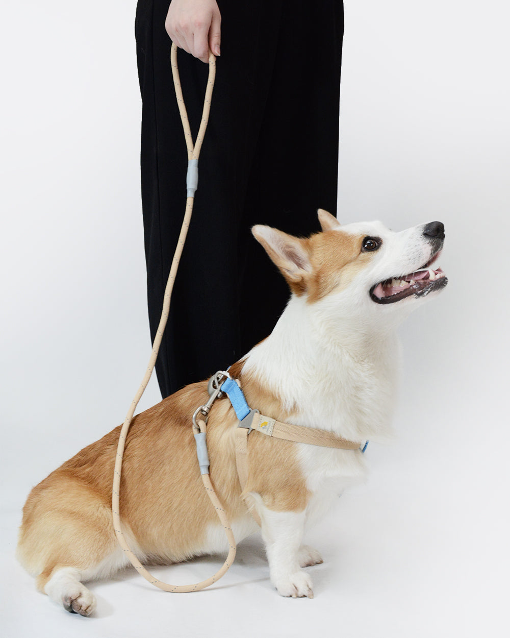 Reflective Rope Dog Leash - Sandbeach