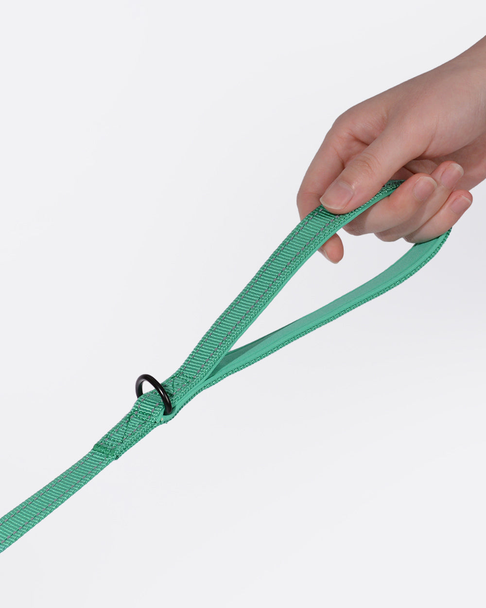Simply Soft Reflective Dog Leash - Emerald
